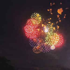 寡妇一夜爽毛片
