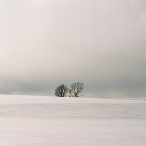 寡妇一夜爽毛片
